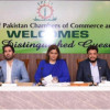 Flat Electricity Tariff Across Industries Demanded Relief Under Winter Package Should Be Extended to SMEs Qurrat Ul Ain, Acting President, FPCCI